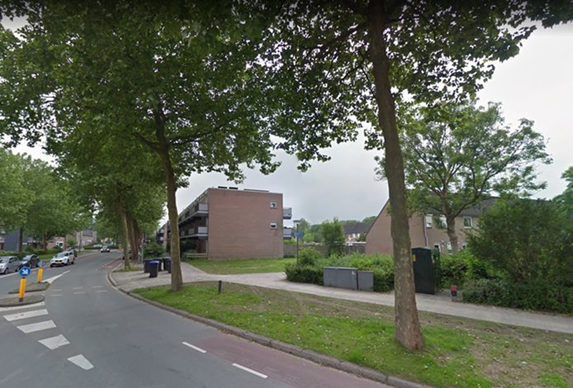 Bomen langs de Stadspolderring