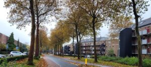 Stadspolderring