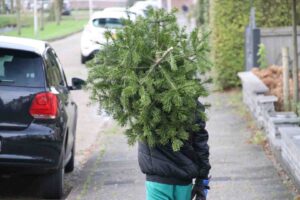 Kerstbomen Inleveren