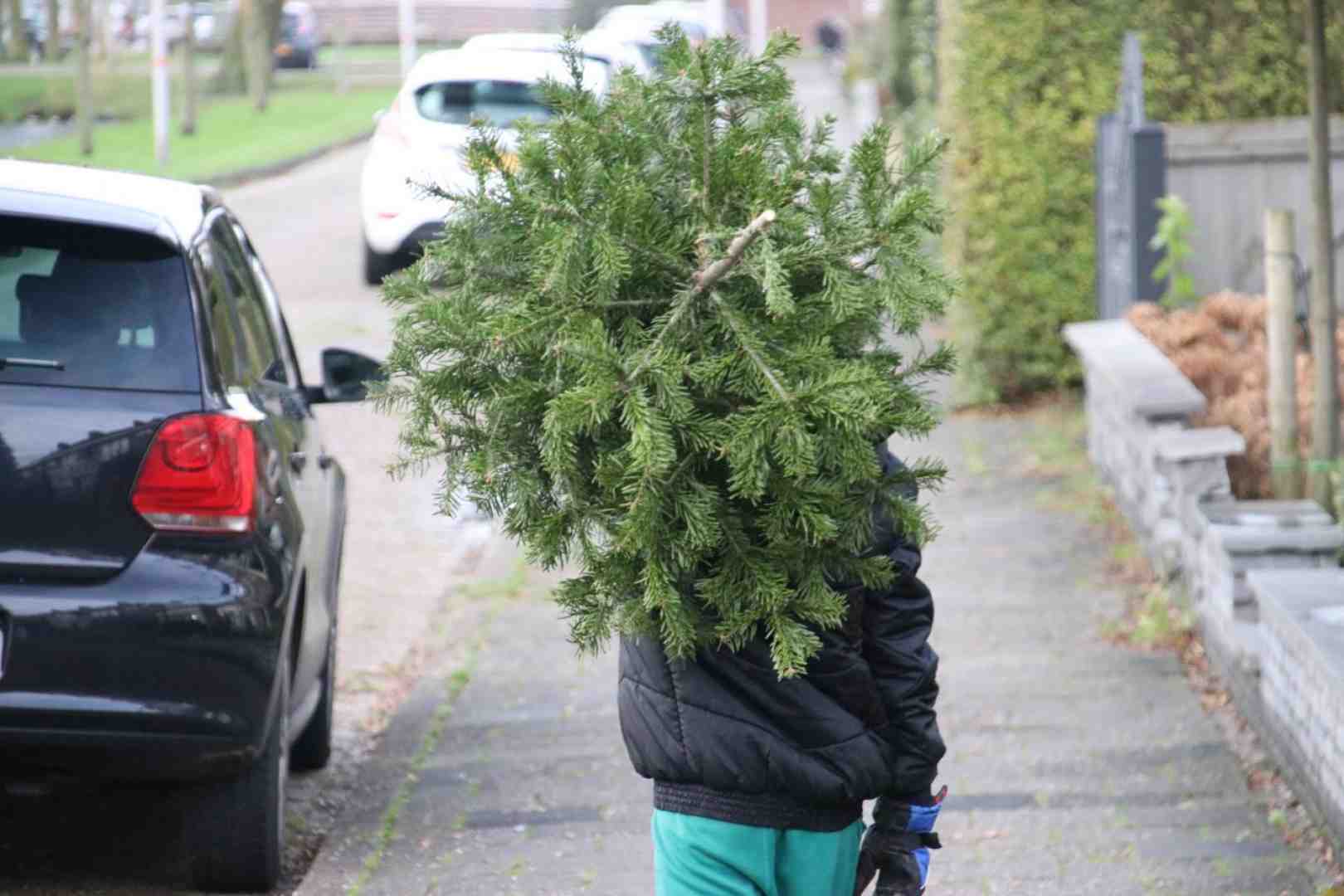 Kerstbomen inleveren