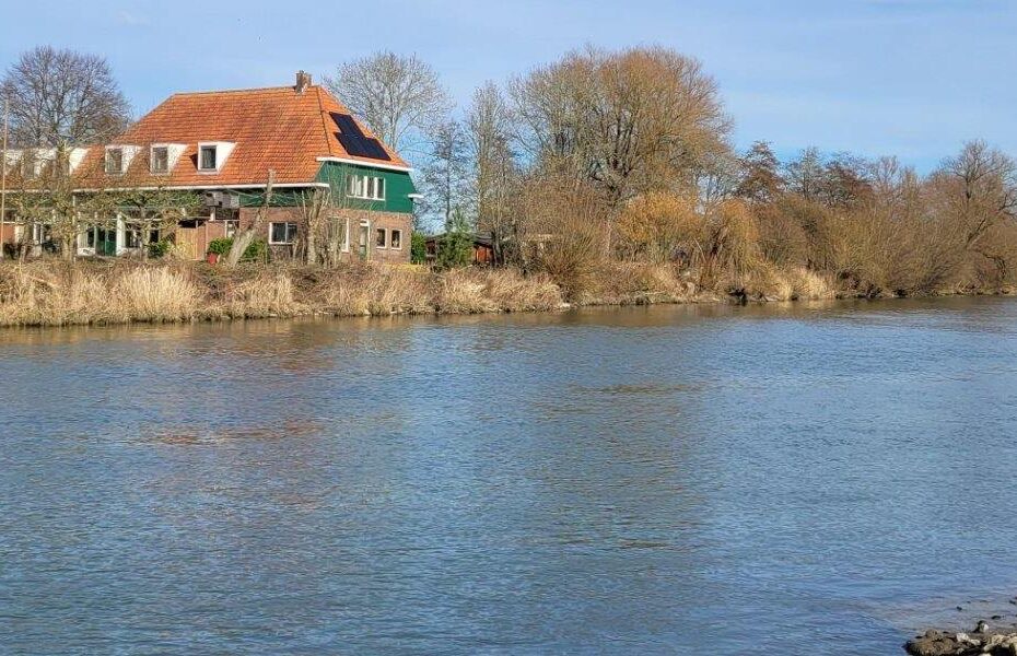 Maatregelen tegen Wildzwemmen