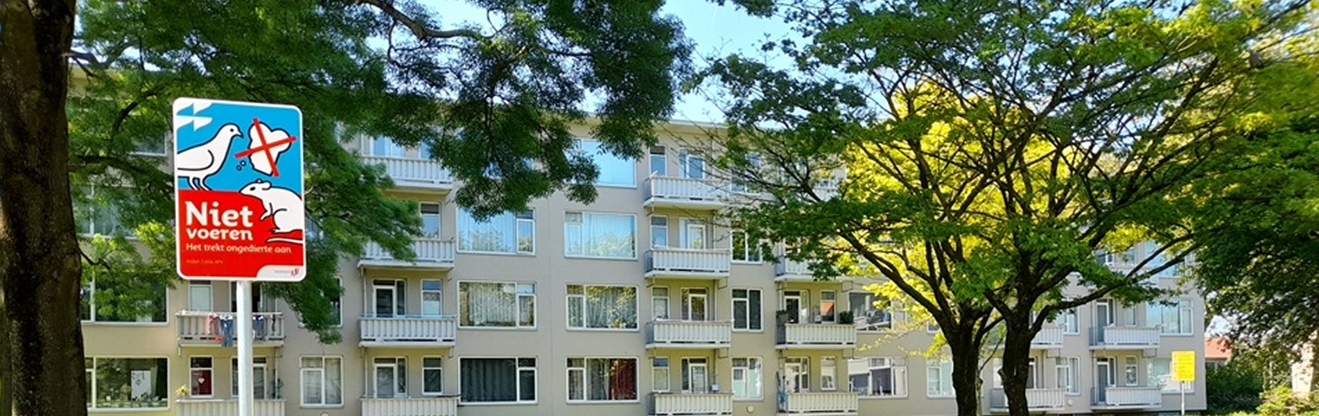 Voederverbod in Dordrecht