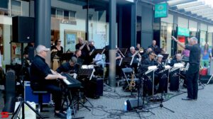 Muzikale dag in de Bieshof