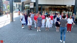 Muzikale dag in de Bieshof