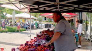 Pinksterbraderie Bieshof - Dag 2 (2023)