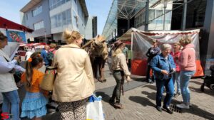 Pinksterbraderie Bieshof - Dag 3 (2023)