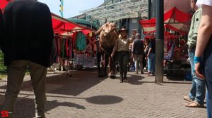 Pinksterbraderie Bieshof - Dag 3 (2023)