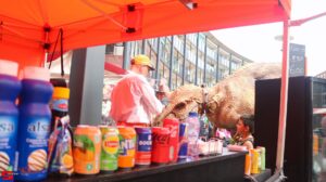 Pinksterbraderie Bieshof - Dag 3 (2023)