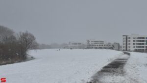 Sneeuw en sneeuwpret in Stadspolders (2026)