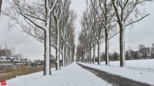 Sneeuw en sneeuwpret in Stadspolders (2026)
