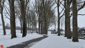 Sneeuw en sneeuwpret in Stadspolders (2026)