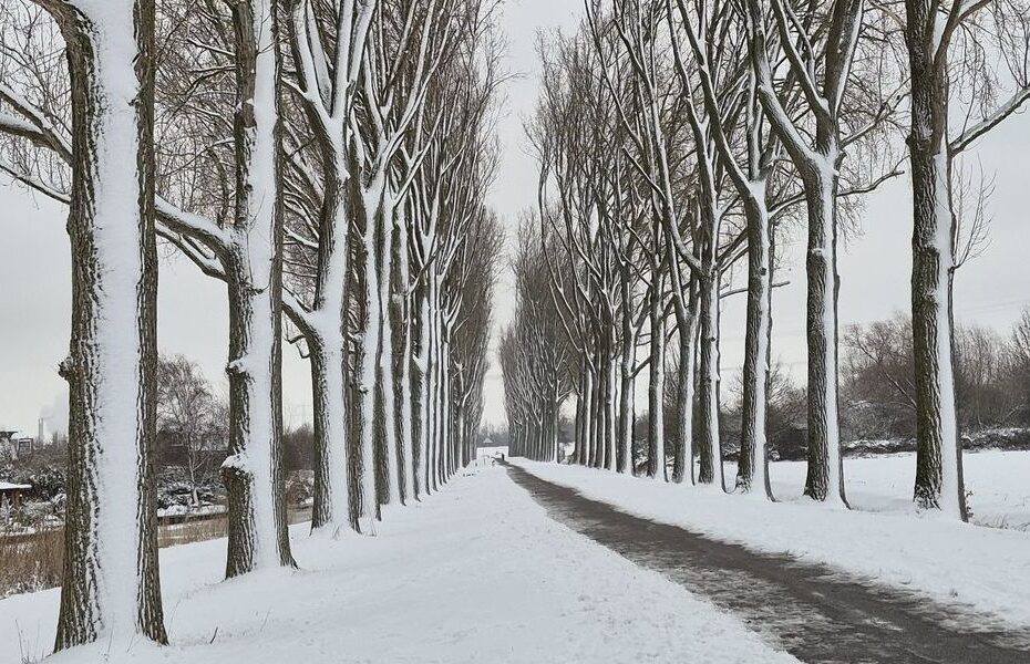 Stadspolders in winterse sferen