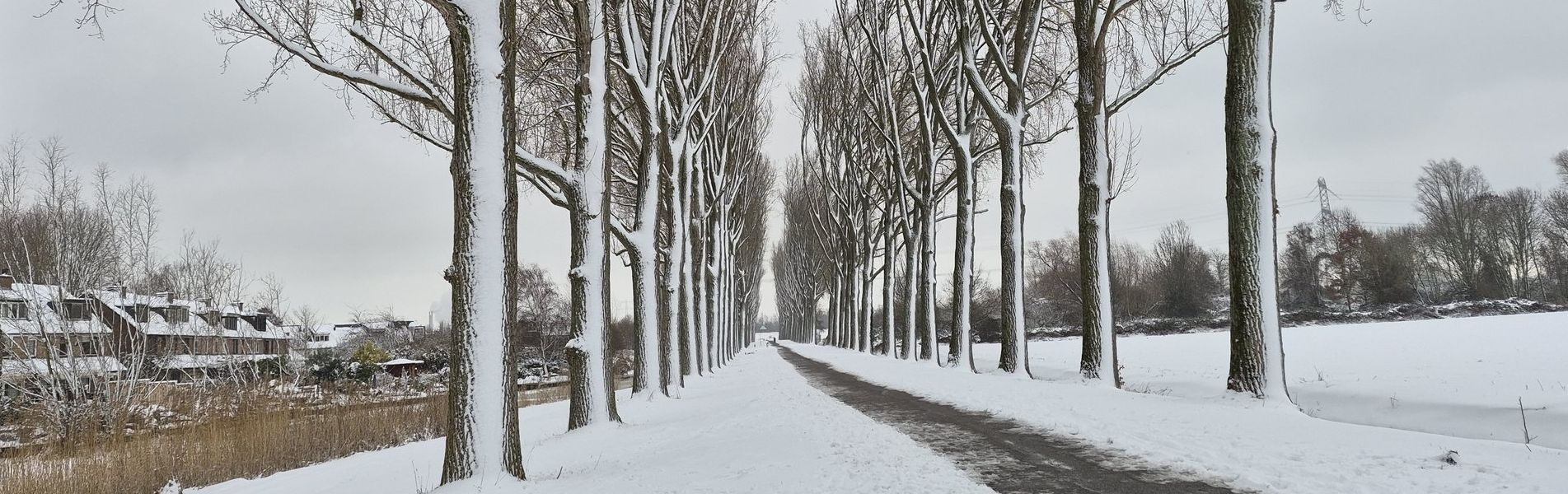 Sneeuw in Stadspolders