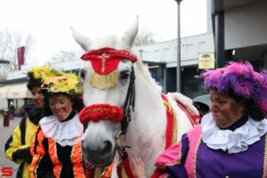 Sinterklaas Bieshof (2021)