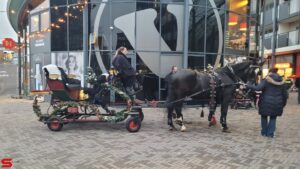 Kerst in de Bieshof - Lichtjesparade (2021)