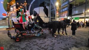 Kerst in de Bieshof - Lichtjesparade (2021)