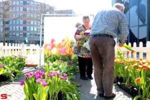 Lente in de Bieshof (2022)