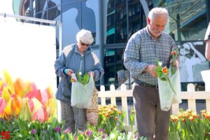 Lente in de Bieshof (2022)