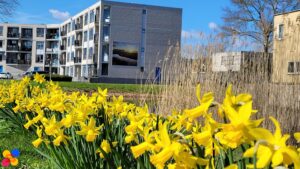 Schilderijen aan Muur door de wijk