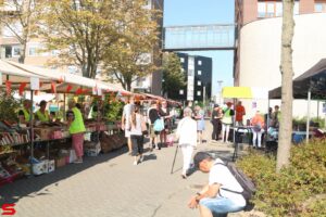 Poldermarkt (2024)