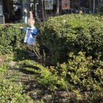 Stadspolders_Schoon-014