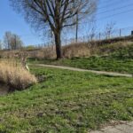 Stadspolders_Schoon-022