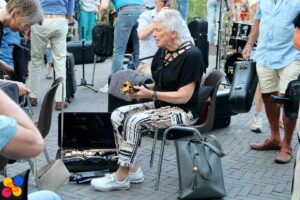 Dordrechts Philharmonisch Orkest Gratis zomerconcert